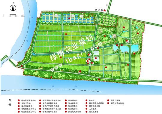 明光泊岗银杏农业科技示范园规划