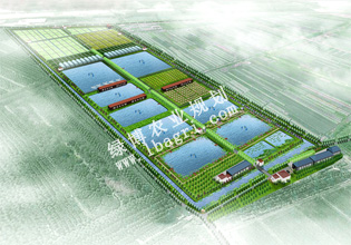 南京军区总医院农业生态园规划