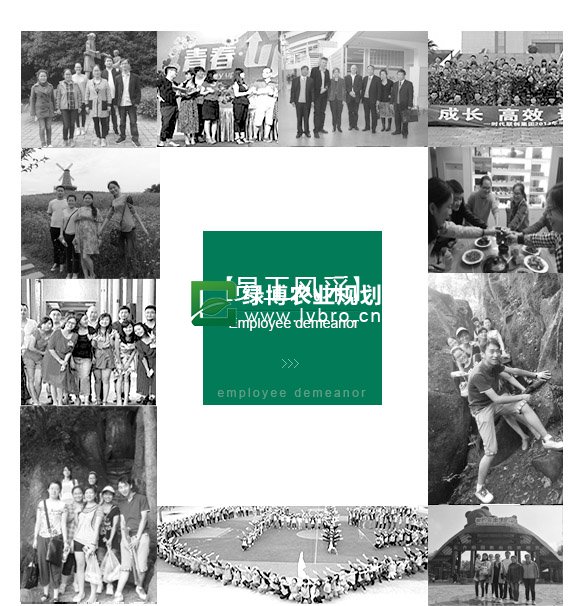 员工风采