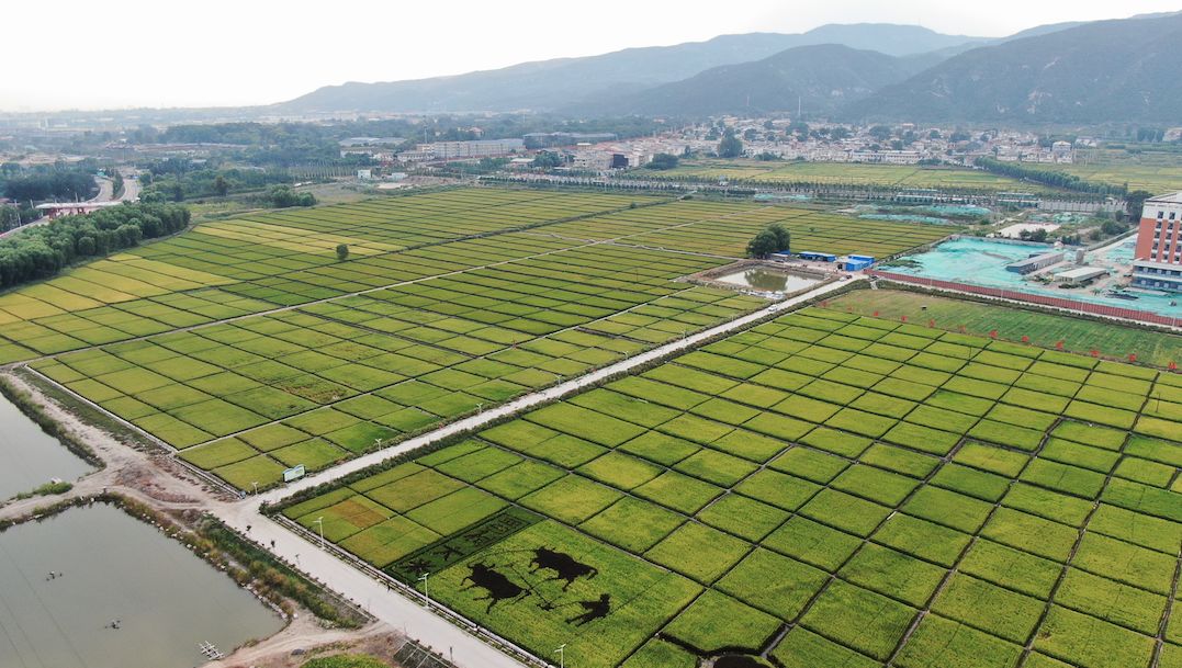 土地整治规划编制