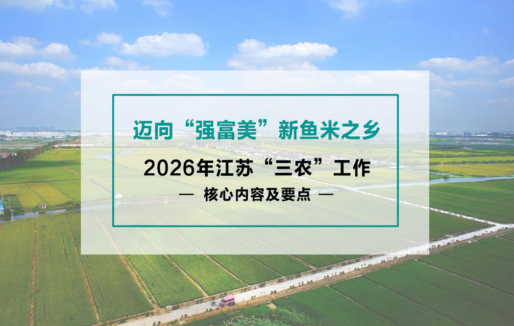 2026年江苏“三农”工作核心内容及要点